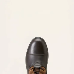 Ariat Wasserdichte Schuhe|Country*Coniston Max Waterproof Insulated Boot EBONY BROWN