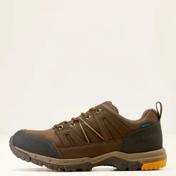 Ariat Wasserdichte Schuhe|Wanderschuhe*Skyline Summit Low Waterproof Boot COFFEE