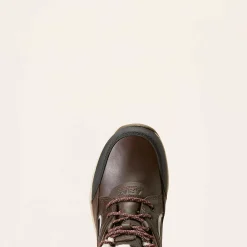 Ariat Wasserdichte Schuhe|Reiten*Telluride Waterproof Insulated Boot DARK BROWN