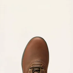 Ariat Wildleder Schuhe & Stiefel|Wasserdichte Schuhe*Wythburn Tall Waterproof Boot DARK BROWN
